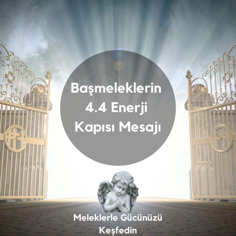 Tüm Yazılar 6