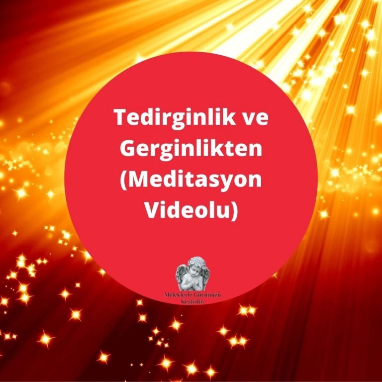 Tüm Yazılar 3