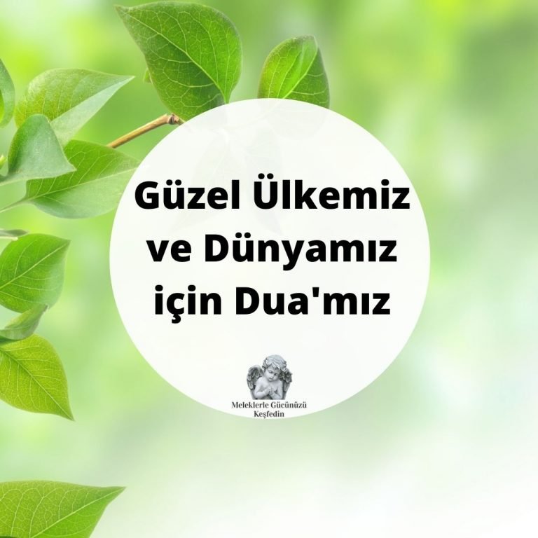 Tüm Yazılar 12