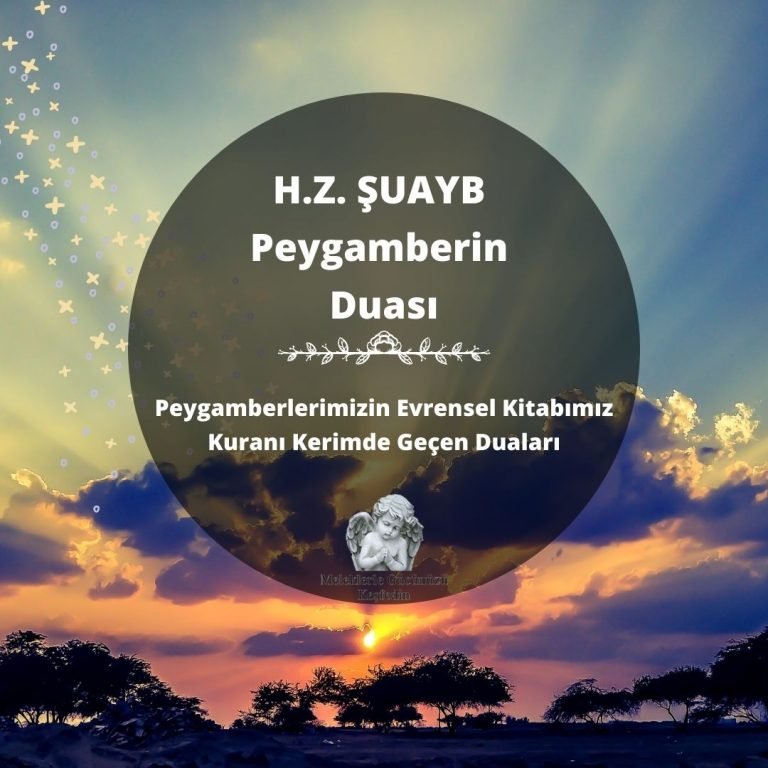 Tüm Yazılar 8