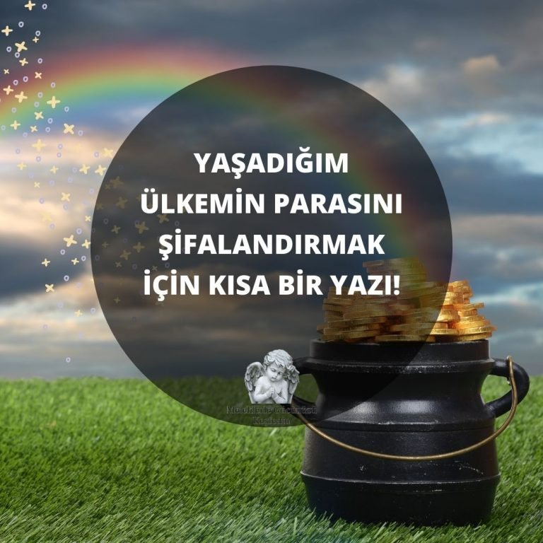 Tüm Yazılar 6