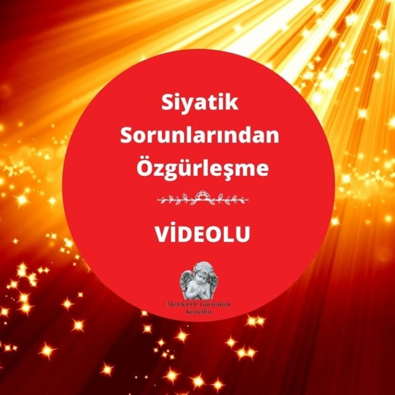 Tüm Yazılar 12