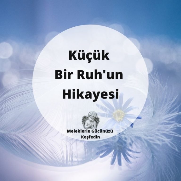 Tüm Yazılar 6