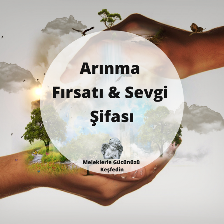 Tüm Yazılar 8