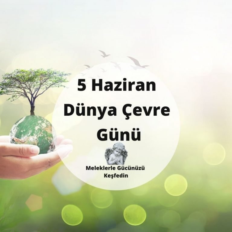 Tüm Yazılar 5