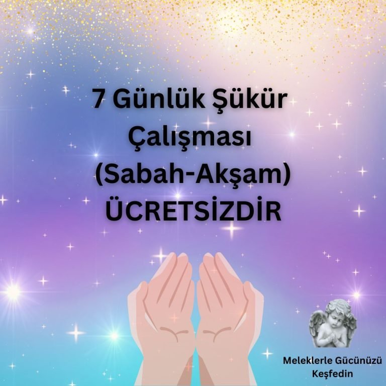 Tüm Yazılar 8