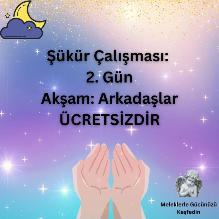Tüm Yazılar 4