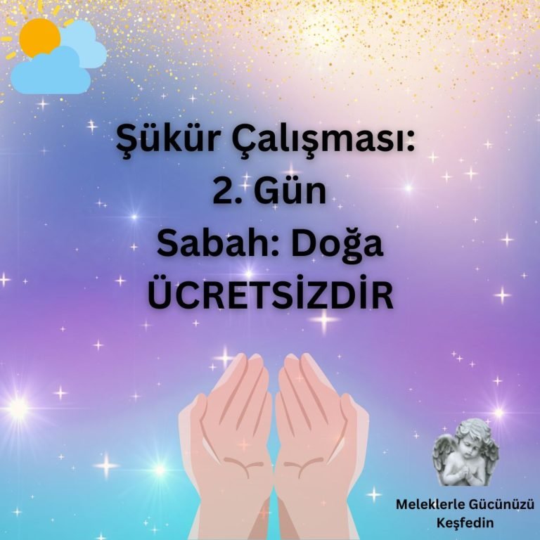 Tüm Yazılar 5