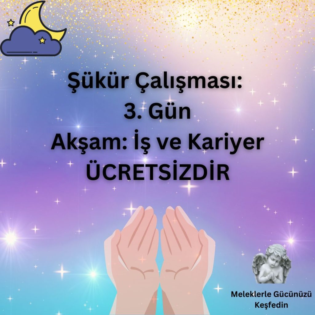 Şükür Çalışması: 3. Gün – Akşam: İş ve Kariyer