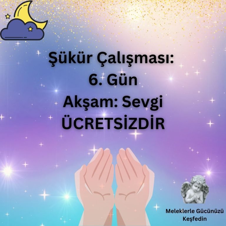 Tüm Yazılar 8