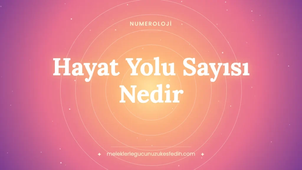 Hayat Yolu Sayısı Nedir? Nasıl Hesaplanır ve Ne Anlama Gelir?