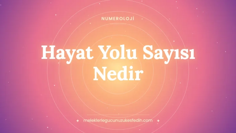 Tüm Yazılar