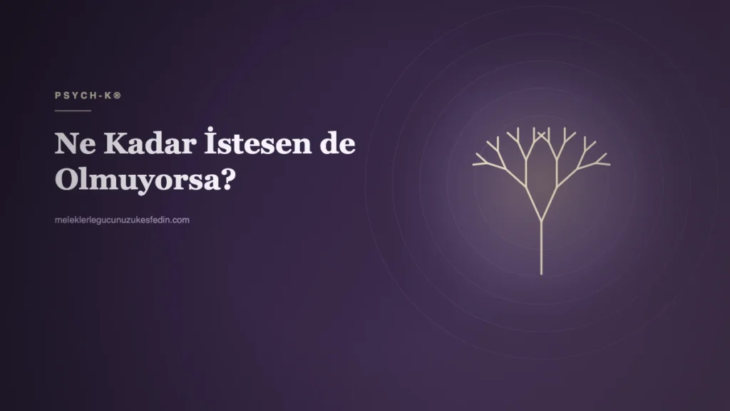 NE KADAR İSTESEN DE OLMUYORSA?