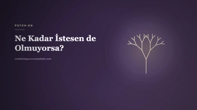 Ne Kadar İstesen de Olmuyorsa?