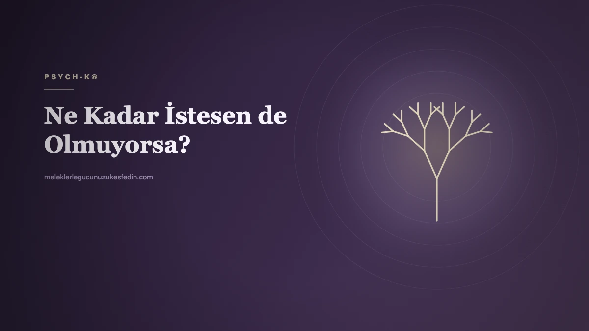 NE KADAR İSTESEN DE OLMUYORSA?